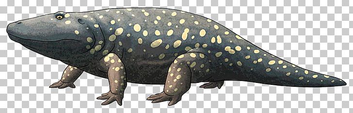 Amphibian Eryops Conemaugh Group Permian Dinosaur PNG, Clipart, Amphibian, Animal, Animal Figure, Animals, Conemaugh Group Free PNG Download