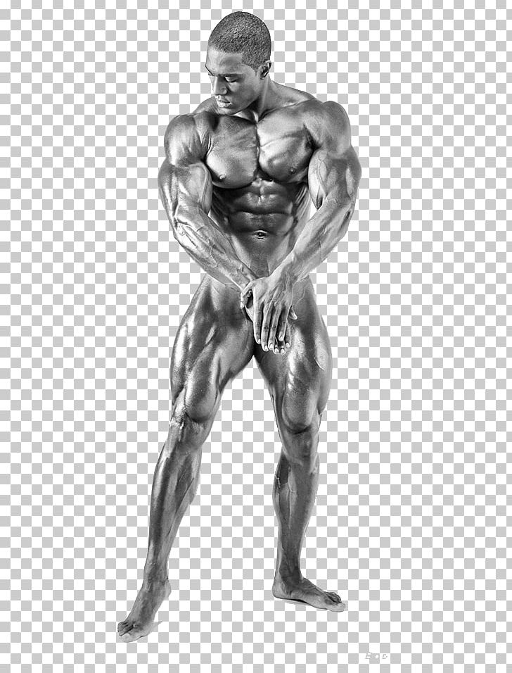 Bodybuilding.com Physical Fitness Human Body Athlete PNG, Clipart, Abdomen, Anatomy, Arm, Biceps Curl, Body Free PNG Download