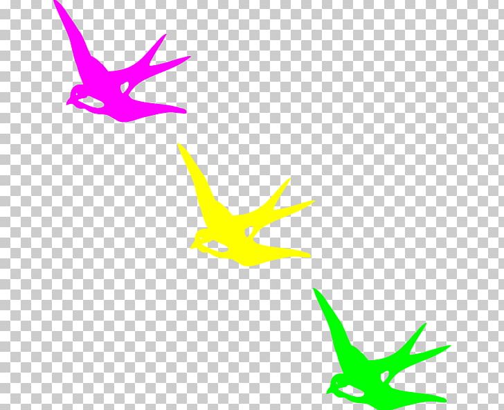 Air Travel Beak Angle PNG, Clipart, Air Travel, Angle, Art, Artwork, Beak Free PNG Download