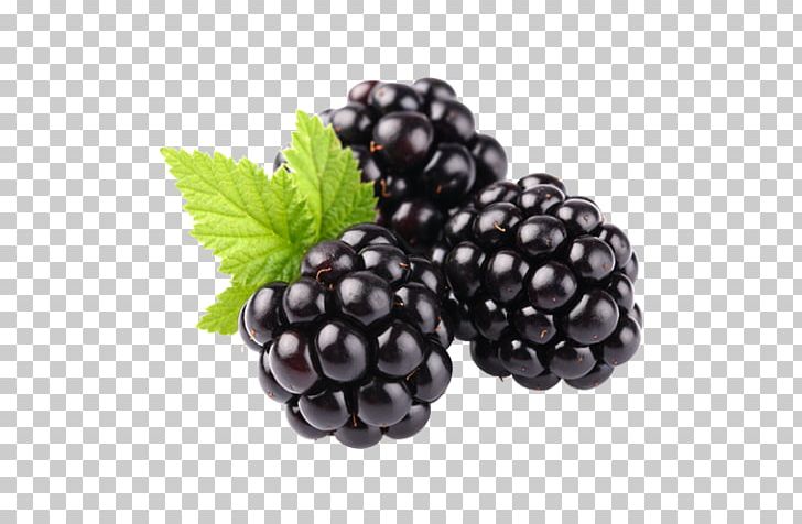 Fruit Berry Food PNG, Clipart, Berry, Bilberry, Blackberry, Blackberry Fruit, Blueberry Free PNG Download