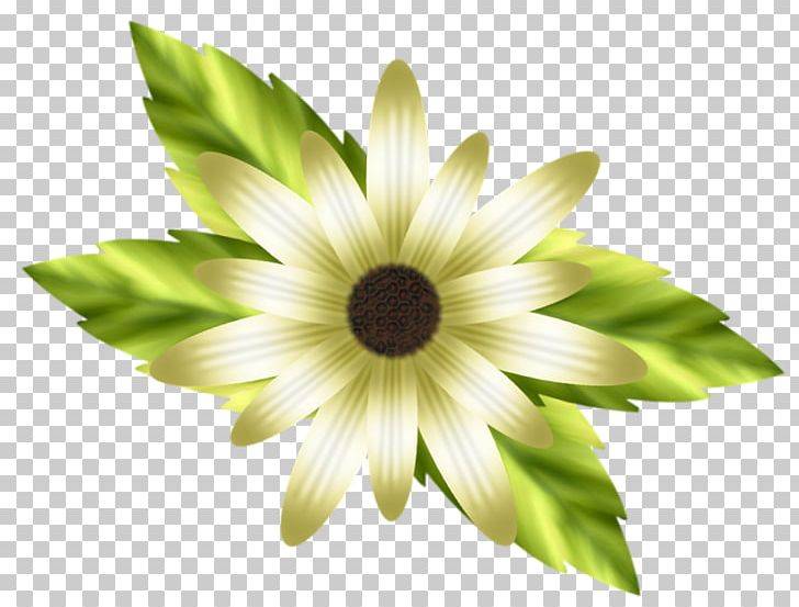 Petal Lilium White Flower PNG, Clipart, Annual Plant, Background White, Black White, Computer Icons, Daisy Family Free PNG Download