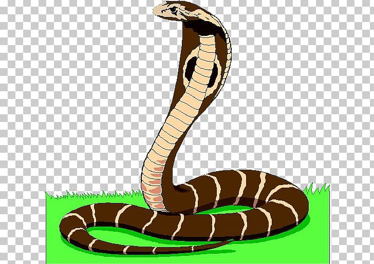 Snake Animated Film PNG, Clipart, Animals, Animated Film, Cartoon, Cobra, Computer Animation Free PNG Download