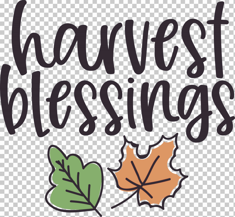 Harvest Thanksgiving Autumn PNG, Clipart, Autumn, Cartoon, Flower, Happiness, Harvest Free PNG Download