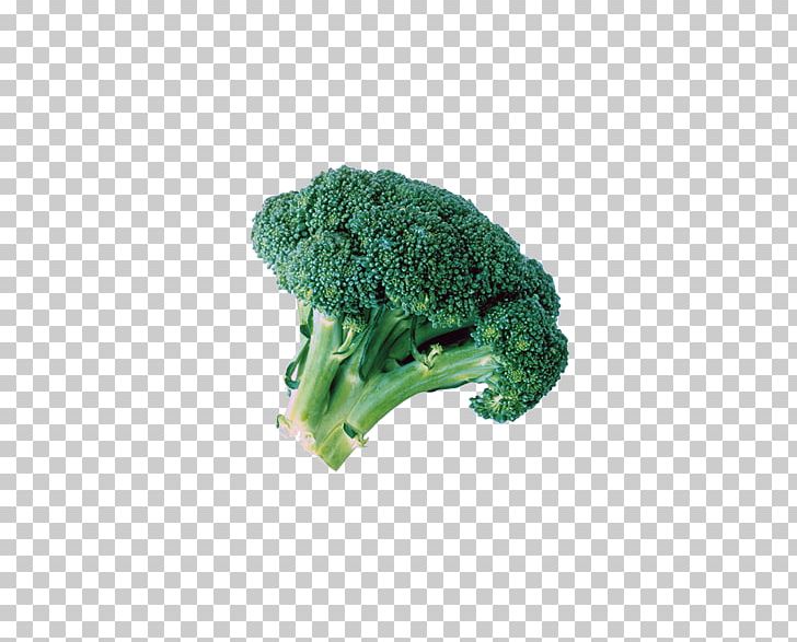 Broccoli Extract Cauliflower Cabbage Vegetable PNG, Clipart, Broccoli, Broccoli Extract, Cabbage, Cartoon Cauliflower, Cauliflower Free PNG Download