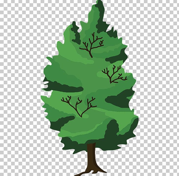 Drawing Tree Forest Graphics PNG, Clipart, Cartoon, Conifer, Drawing, Flora, Flowering Plant Free PNG Download