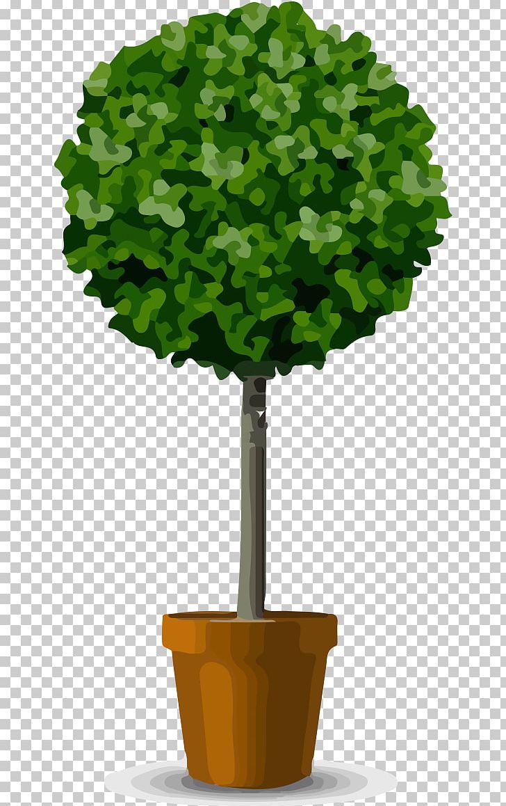 Flowerpot Shrub Tree Pruning PNG, Clipart, Box, Buxus Sempervirens, Evergreen, Flowerpot, Glass Free PNG Download