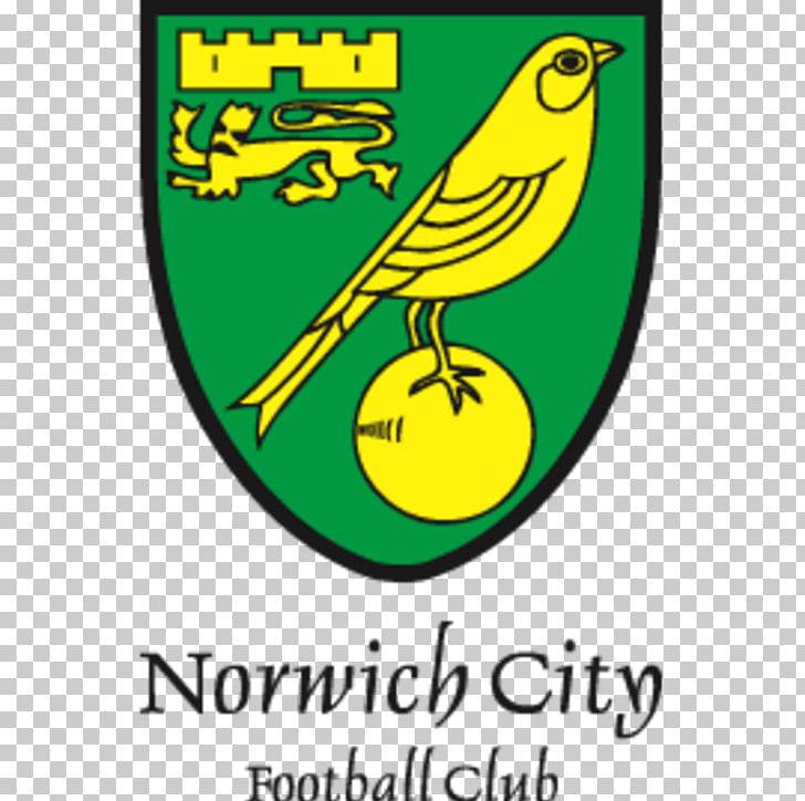 Norwich City F.C. Under-23s And Academy Carrow Road The Nest Southampton F.C. PNG, Clipart,  Free PNG Download