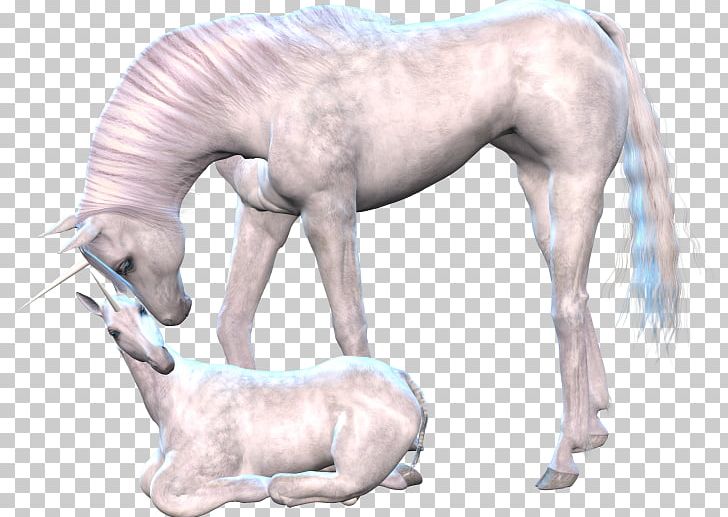 Unicorn Horse Mane PNG, Clipart, Dog Like Mammal, Download, Encapsulated Postscript, Fairy Tale, Fantasy Free PNG Download