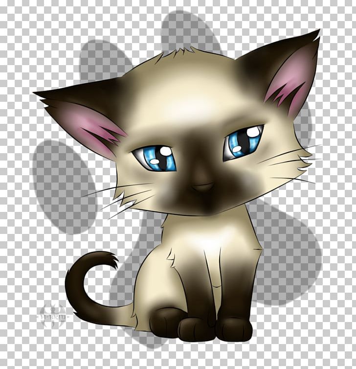 Whiskers Kitten Korat Tabby Cat Domestic Short-haired Cat PNG, Clipart, Animal, Animals, Carnivoran, Cartoon, Cat Free PNG Download