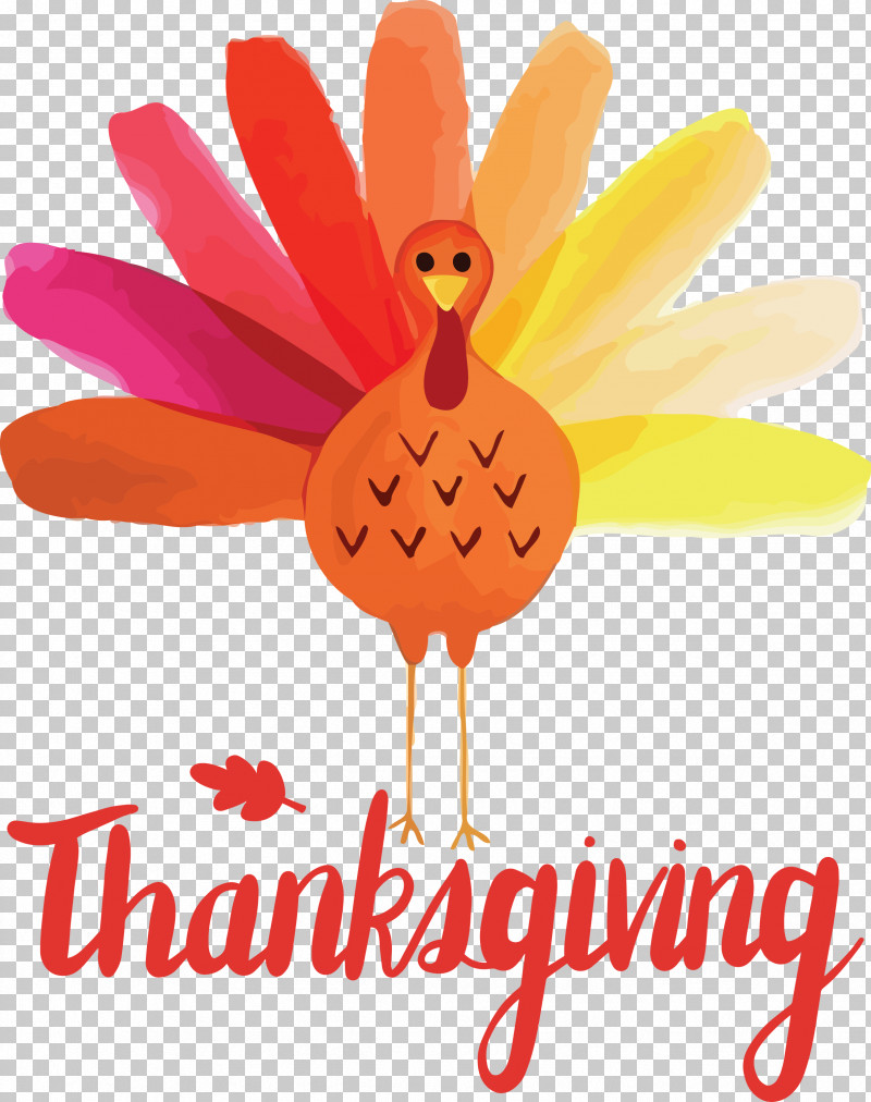 Thanksgiving PNG, Clipart, Biology, Birds, Cut Flowers, Flower, Meter Free PNG Download
