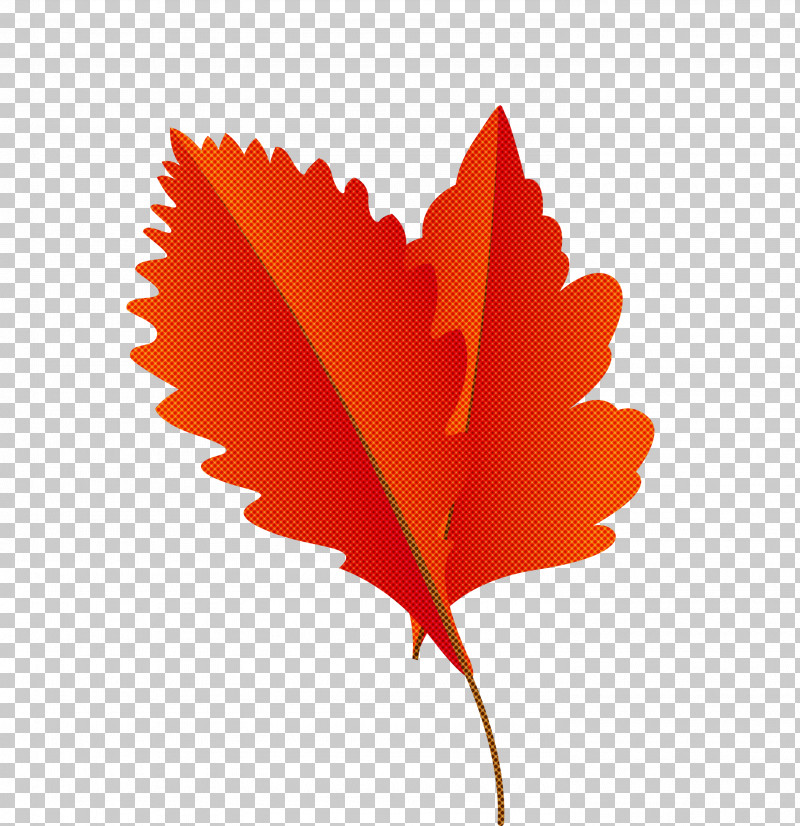 Fruit Tree PNG, Clipart, Autumn Leaf, Autumn Leaf Color, Birch, Cartoon Leaf, Fall Leaf Free PNG Download