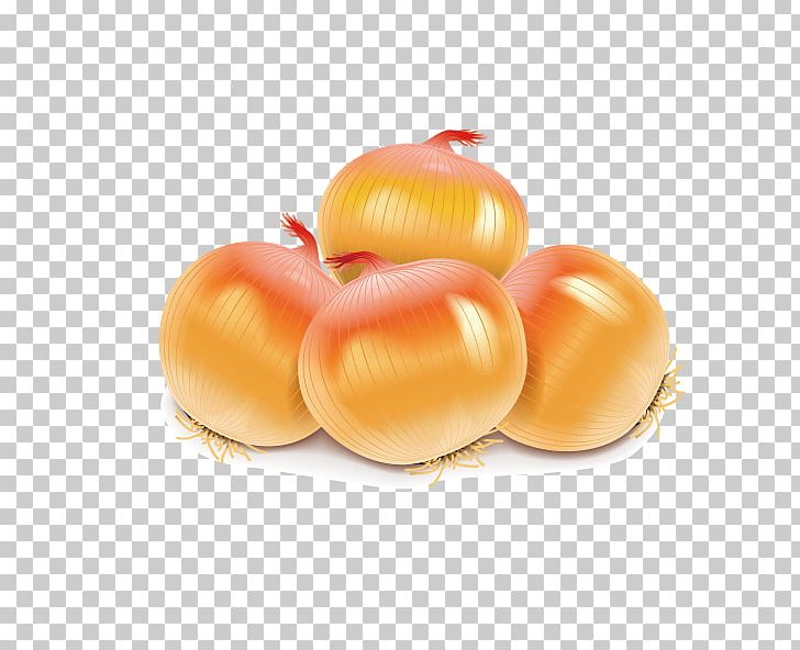 Vegetable Potato Tomato Illustration PNG, Clipart, Carrot, Eggplant, Food, Fruit, Green Onion Free PNG Download