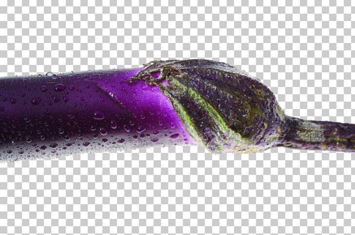 Eggplant Vegetable Drop PNG, Clipart, Download, Drop, Drops, Eggplant, Encapsulated Postscript Free PNG Download