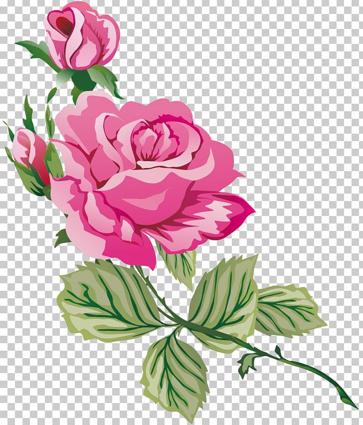 Garden Roses Cabbage Rose Blue Rose PNG, Clipart, Annual Plant, Art, Blue, Blue Rose, Cut Flowers Free PNG Download