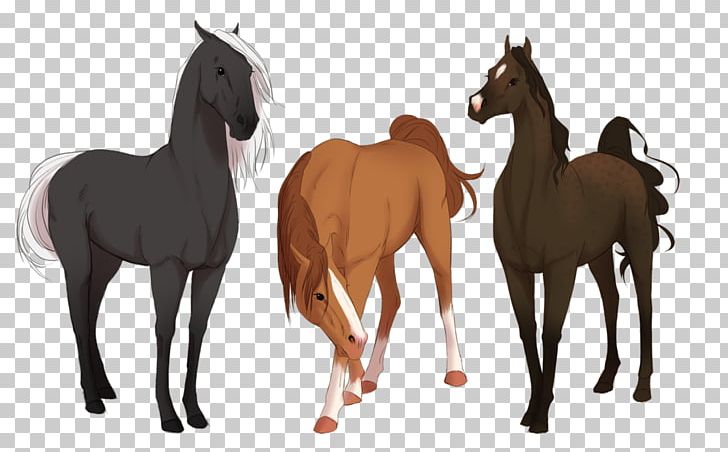 Mustang Foal Colt Stallion Mare PNG, Clipart,  Free PNG Download