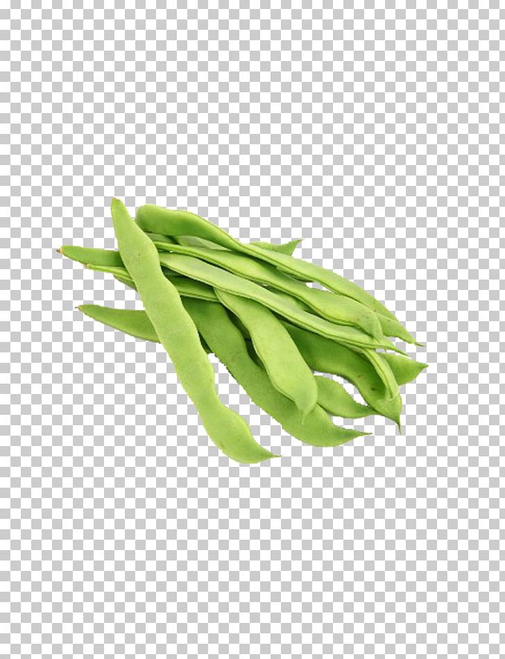 Vegetable Lablab Broad Bean Green Bean PNG, Clipart, Background, Bean, Beans, Commodity, Common Bean Free PNG Download