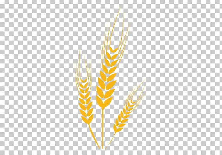 Wheat Computer Icons Drawing PNG, Clipart, Chart, Commodity, Computer Icons, Download, Drawing Free PNG Download