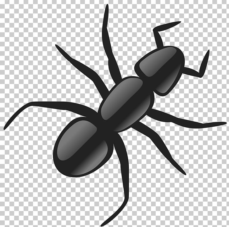 Ant PNG, Clipart, Ant, Arthropod, Artwork, Black And White, Black Widow Free PNG Download