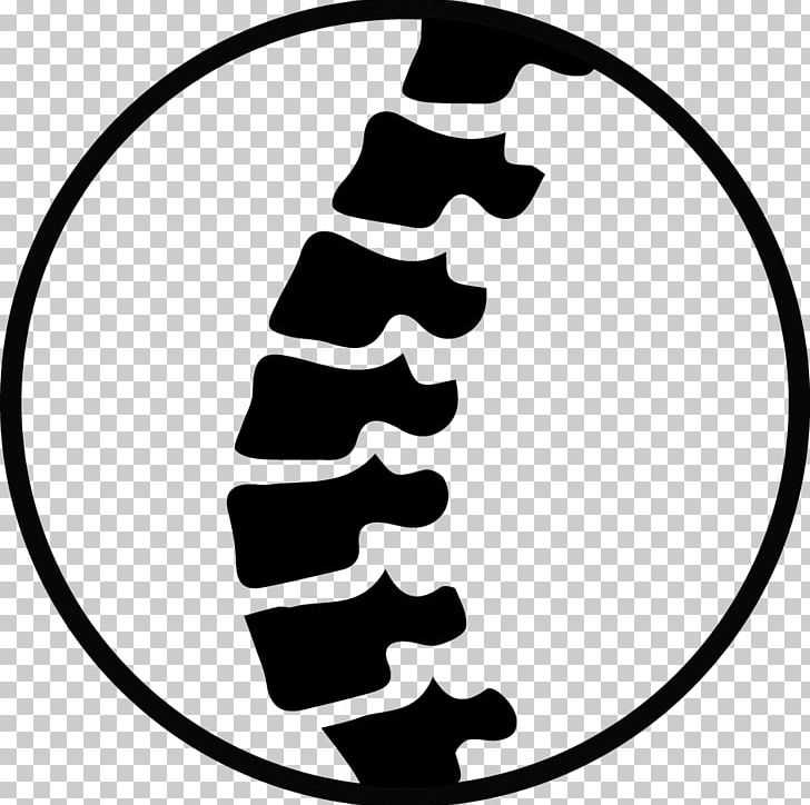 chiropractic spine clipart