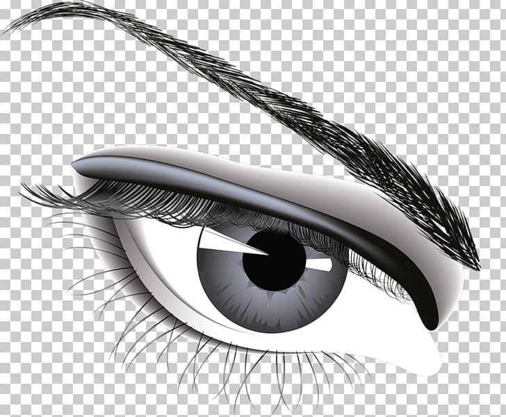 Eyebrow PNG, Clipart, Black And White, Cats Eye, Closeup, Computer Icons, Desktop Wallpaper Free PNG Download