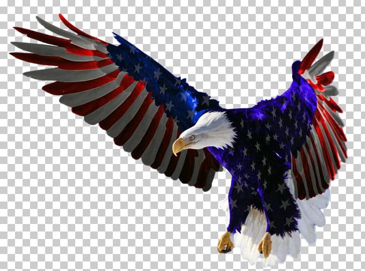 Flag Of The United States Independence Day Bald Eagle PNG, Clipart, Accipitriformes, American, American Eagle Outfitters, American Flag, Bald Eagle Free PNG Download