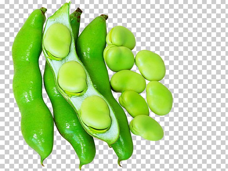 Pea Edamame Lima Bean Vegetarian Cuisine Common Bean PNG, Clipart, Bean, Broad Bean, Broad Beans, Commodity, Common Bean Free PNG Download