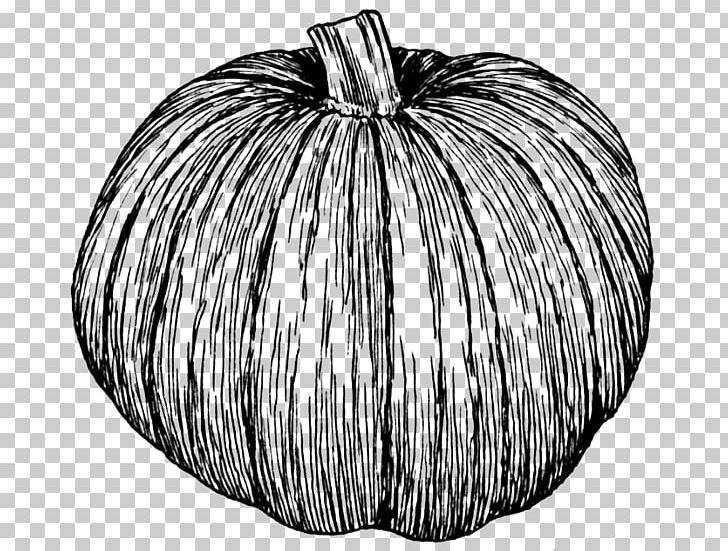 Pumpkin Pie Zucchini Drawing PNG, Clipart, Black And White, Cucurbita, Cucurbita Maxima, Drawing, Jackolantern Free PNG Download