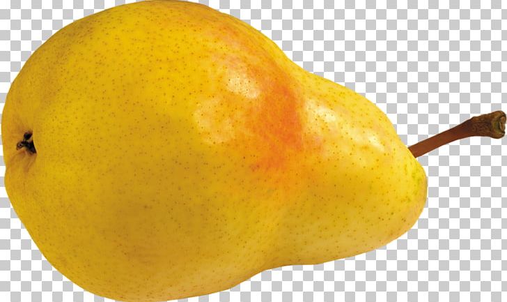 Pyrus Nivalis Photography PNG, Clipart, Amygdaloideae, Asian Pear, Citron, Citrus, Food Free PNG Download