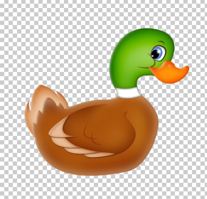Duck Mallard Drawing Home Page PNG, Clipart, Animals, Animation, Beak, Bird, Cartoon Free PNG Download