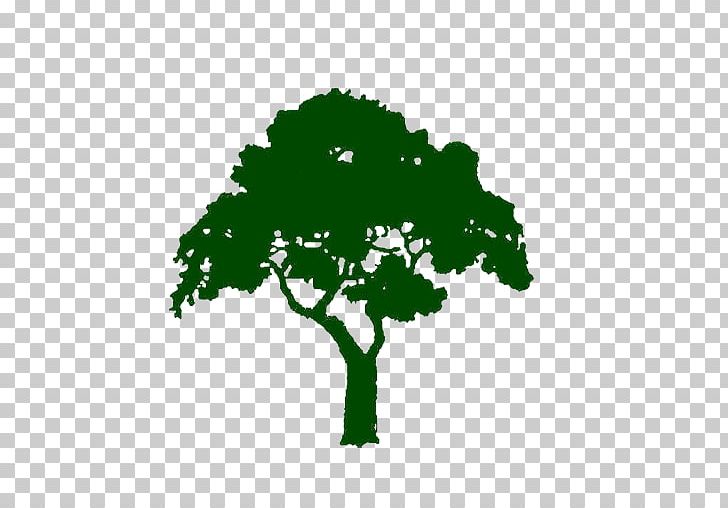 Logo Tree Oak PNG, Clipart, Art, Aurelios Lawn Tree Service, Company, Grass, Green Free PNG Download