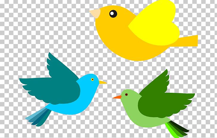 Bird Flight PNG, Clipart, Beak, Bird, Bird Flight, Blog, Clipart Free PNG Download