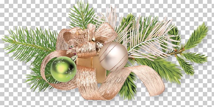 Christmas Ornament Christmas Day New Year Portable Network Graphics PNG, Clipart, Blog, Branch, Christmas Day, Christmas Decoration, Christmas Ornament Free PNG Download