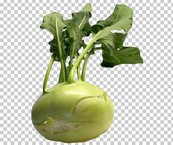 Collard Greens Kohlrabi Cauliflower Vegetable PNG, Clipart, Cabbage, Cauliflower, Chard, Collard Greens, Cruciferous Vegetables Free PNG Download