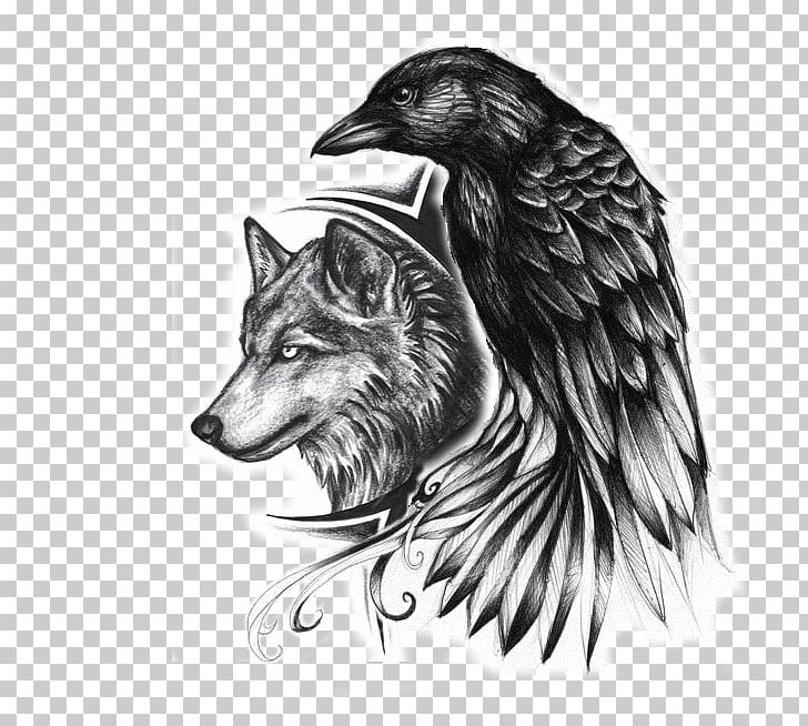 Common Raven Indian Wolf Tattoo Drawing PNG, Clipart, Abziehtattoo, Animals, Beak, Bird, Bird Of Prey Free PNG Download
