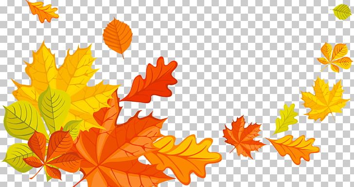 Maple Leaf PNG, Clipart, Autumn, Autumn Leaves, Computer Wallpaper, Download, Encapsulated Postscript Free PNG Download