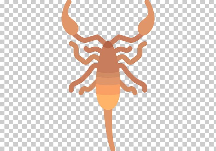 Animal Scorpion Computer Icons Wildlife PNG, Clipart, Animal, Computer Icons, Download, Encapsulated Postscript, Hand Free PNG Download