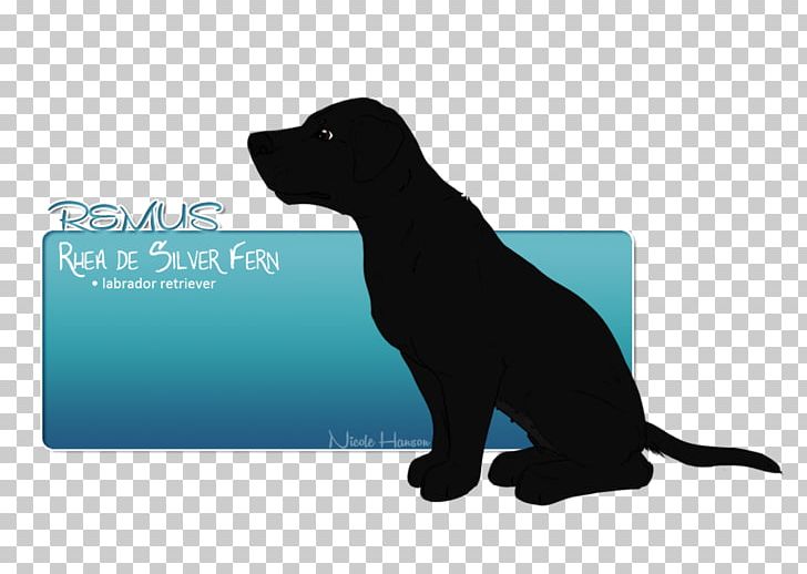 Labrador Retriever Puppy Cat Dog Breed PNG, Clipart, Animals, Black, Breed, Carnivoran, Cat Free PNG Download