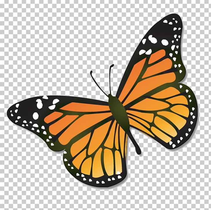 Monarch Butterfly PNG, Clipart, Arthropod, Brush Footed Butterfly, Butterflies And Moths, Butterfly, Cartoon Free PNG Download