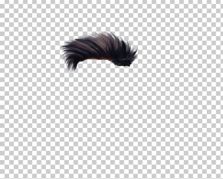 Tail Fur Eyelash Feather Snout PNG, Clipart, Animals, Black, Black M, Demo, Edit Free PNG Download