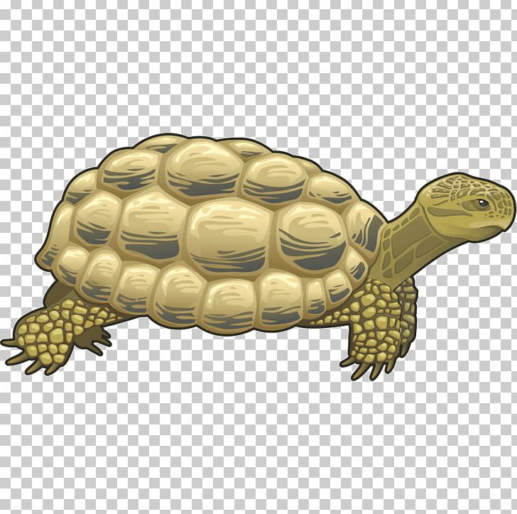 Turtle Reptile Giraffe PNG, Clipart, Animal, Animals, Box Turtle, Chelydridae, Common Snapping Turtle Free PNG Download