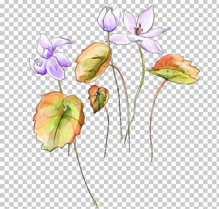 Watercolor Painting Watercolour Flowers PNG, Clipart, Art, Flower, Flower Arranging, Miscellaneous, Others Free PNG Download