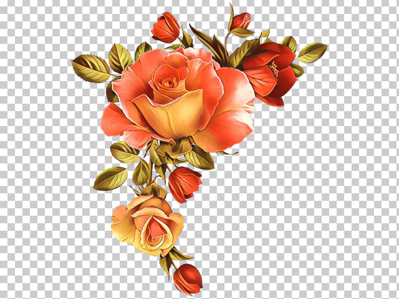 Garden Roses PNG, Clipart, Bouquet, Cut Flowers, Flower, Garden Roses, Orange Free PNG Download