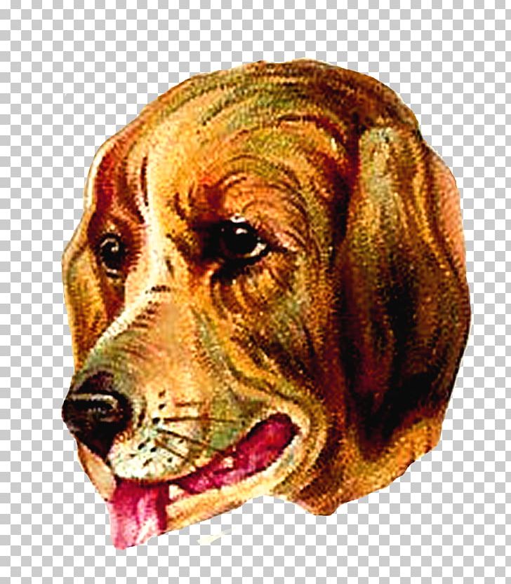 Bloodhound Harrier English Foxhound Redbone Coonhound Beagle PNG, Clipart, Beagle, Bloodhound, Breed, Carnivoran, Companion Dog Free PNG Download