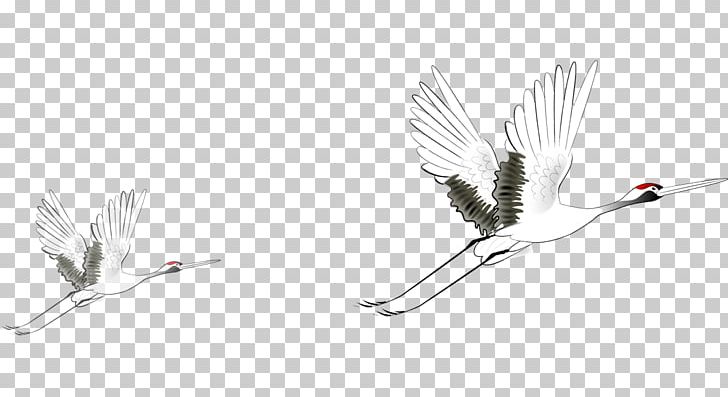China Red-crowned Crane PNG, Clipart, Animal, Bird, Black And White, China, Chinese Free PNG Download