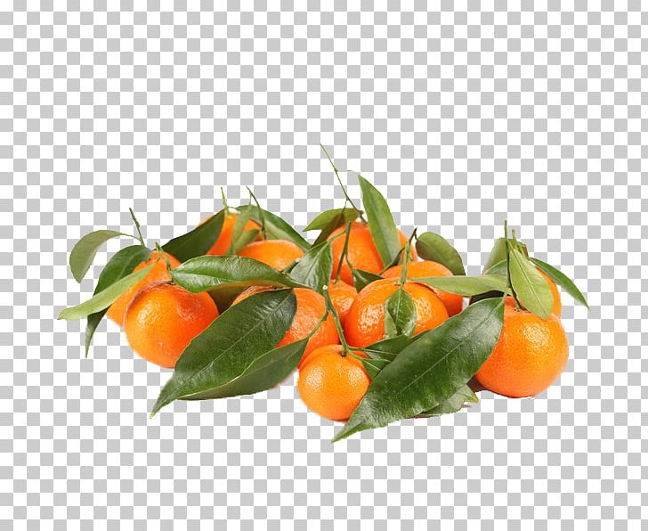 Clementine Tangerine Orange Fruit Food PNG, Clipart, Auglis, Beach Sand, Bell Peppers And Chili Peppers, Bitter Orange, Calamondin Free PNG Download