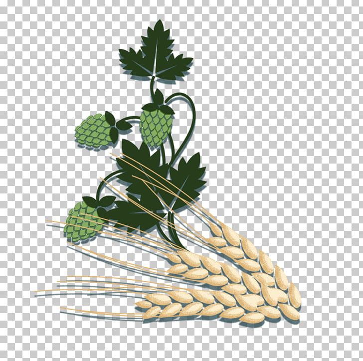 Wheat Beer Leaf Vegetable PNG, Clipart, Alternative Medicine, Background Green, Beer, Commodity, Decorative Free PNG Download