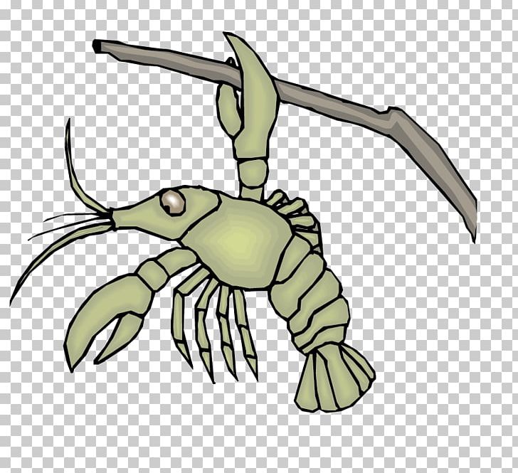 Crab Homarus PNG, Clipart, Animals, Cartoon, Claw, Crab, Encapsulated Postscript Free PNG Download
