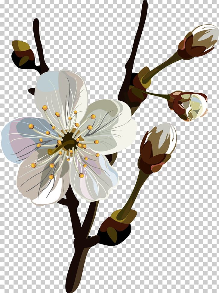 Flower PNG, Clipart, Blossom, Branch, Cherry Blossom, Cut Flowers, Designer Free PNG Download