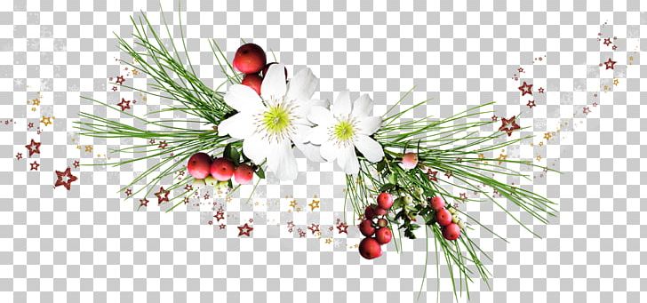 Winter PNG, Clipart, Blog, Body Jewelry, Branch, Christmas, Christmas Decoration Free PNG Download