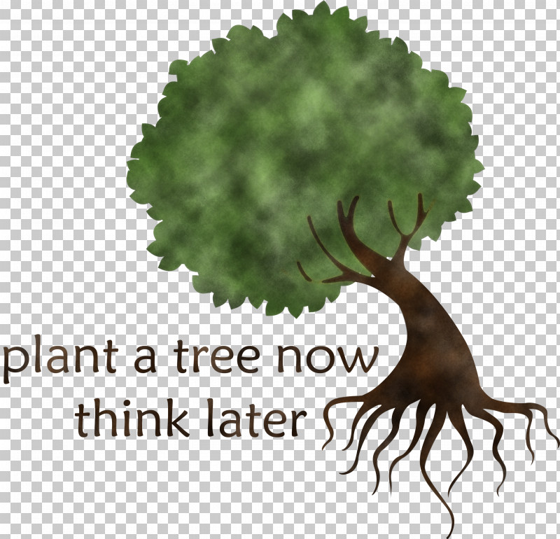 Plant A Tree Now Arbor Day Tree PNG, Clipart, Arbor Day, Arborist, Branch, Broadleaved Tree, English Oak Free PNG Download